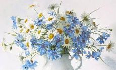 2019属猪女孩名字姓谢