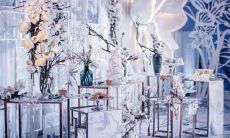 十二星座反鸡汤