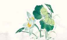 属虎的男人应该取什么名字好