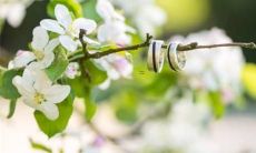 观察入微 总能从细节处看出破绽的星座