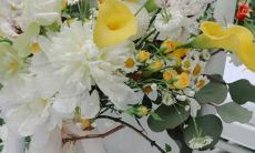 天生脑子好使 干什么都比别人强的星座