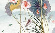 与巧搭配的女孩名字 精选女孩名字大全