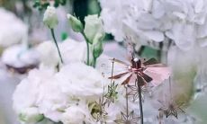 生活很细致 很少会出错的星座