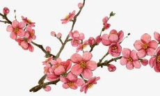 水果店名字大全简单好记 好听店名