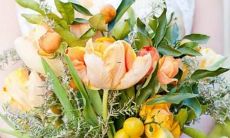 狮女星座最佳配对表