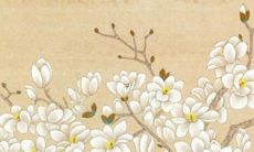 带奕字男孩取名三个字 五行属性取男宝宝名字