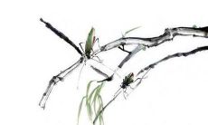 带霞字的女孩名字 温婉典雅女宝宝名字