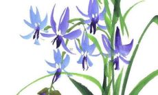 带轼字男孩取名字 精选男宝宝好听的名字