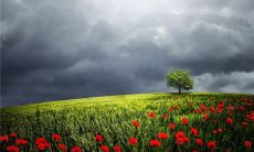 简单好记的英文名字