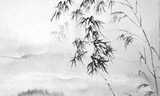 虎年四月出生女孩名字