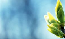 金牛女什么最吸引天蝎 金牛女为什么会让天蝎男上瘾