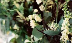 结婚越久 家财越厚的星座