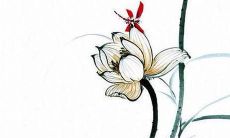 好听有寓意的罗姓牛宝宝名字 寓意美好深刻