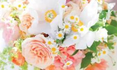 明明很受伤 却总是说我没事的星座