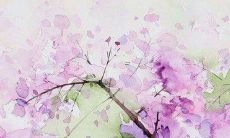 带黎字男孩取名三个字 男宝宝精选好名字