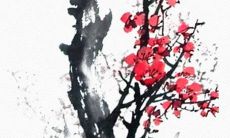 十二星座的人物代表什么时候