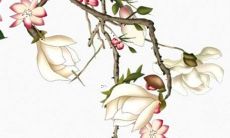 牛尾年孙姓女孩起什么名字好