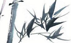 虎年宝宝名字带什么字好