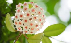 游戏中好听的组织名