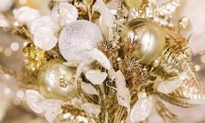 腊月11月12日是什么星座