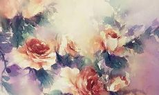 毛姓女孩名字大全属虎