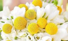 不擅表达不爱发微信的星座