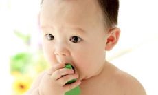 男孩名字大全2015属羊