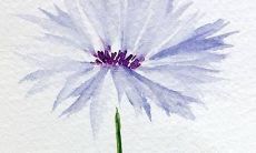 诗经取名男孩有寓意的名字大全 名字推荐