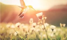 2020年农历闰四月二十出生女宝宝起名（优雅大气名字）