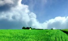 水瓶男被哪种女生吃定 水瓶男最忍不了哪种撩