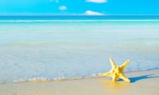 什么星座男偏爱狮子女 能驾驭狮子女的星座男