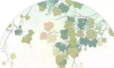 姓孙女孩取名字两个字