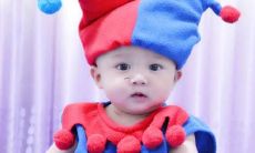 姓赵和字辈属虎的女孩名字