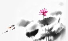 2016女孩单字名字大全