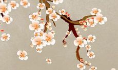 简单好听的公司名字