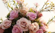 受了委屈从不外露 都是自己默默承受的星座