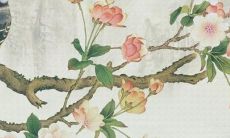 女孩喜欢用什么名字