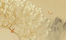 有没有叫涵好听的女孩名字