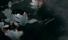 给孩子起小名有什么讲究 名字有哪些