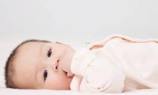 2022属虎名字最佳用字