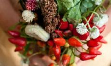 什么狗是十二星座最喜欢养的呢？