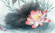 科技公司取名大全 取名原则和名字大全