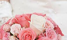 天生自带泰迪属性的星座