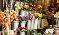 伤人12星座排名