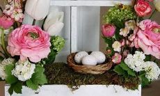 如何查询太阳上升星座