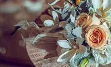 最念旧的五大星座