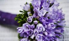 20071月2日是什么星座