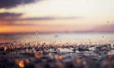 眉间有竖纹的面相分析 女人眉心有竖纹会怎样