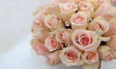 2015年十二星座的运势