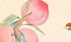 起小名字女孩2022免费